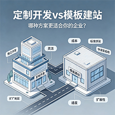 吴忠建站-定制开发vs模板建站：哪种方案更适合你的企业？