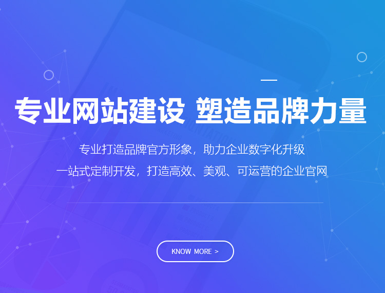 吴忠建站-专业网站建设 塑造品牌力量